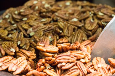 Cevizli, carya illinoinensis