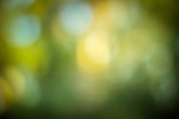 Beautiful bokeh background — Stock Photo, Image