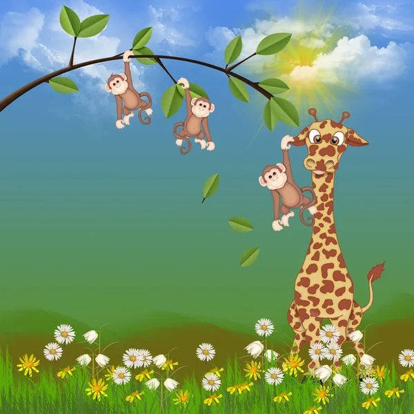 Apor och giraff — Stockfoto