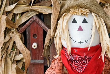 Kuş yuvası ile korkuluk