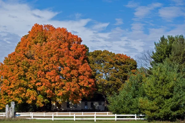 Pais otoño escena — Foto de Stock