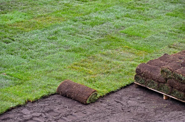 Rolki z nową darń — Zdjęcie stockowe