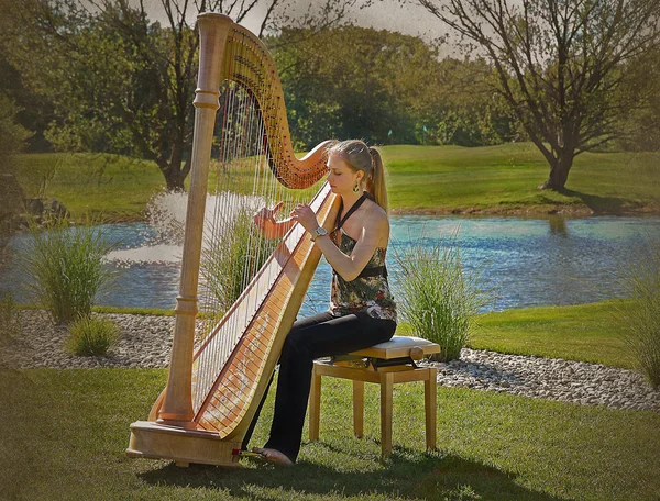 Harpist with textured overlay — Stock Photo, Image