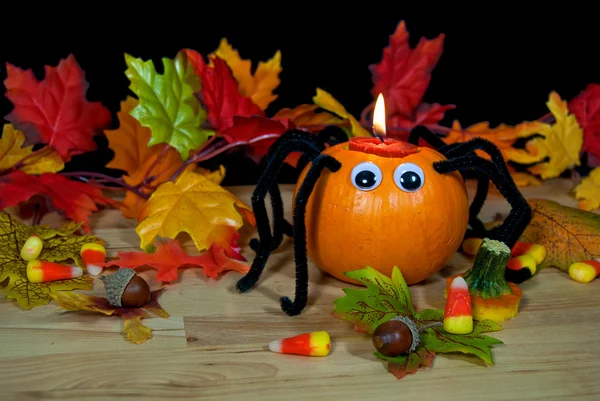 Halloween pumpkin spider with candle — Stock Photo, Image