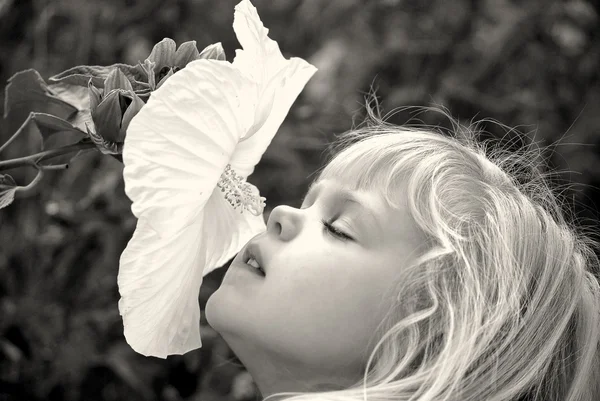 Girl sniffing a hibiscus — Stock Photo, Image