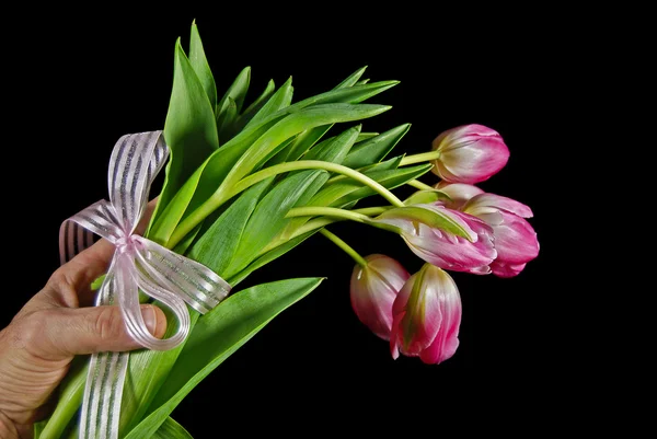 チューリップのギフトの花束 — ストック写真