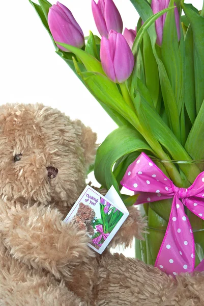 Teddybeer met roze tulpen — Stockfoto