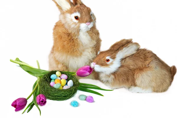 Easter Bunnies with nest — Stock Photo, Image