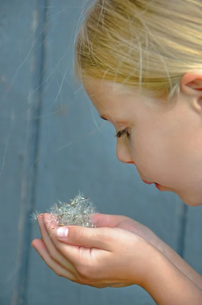 Bambina che soffia tarassaco piantine — Foto Stock