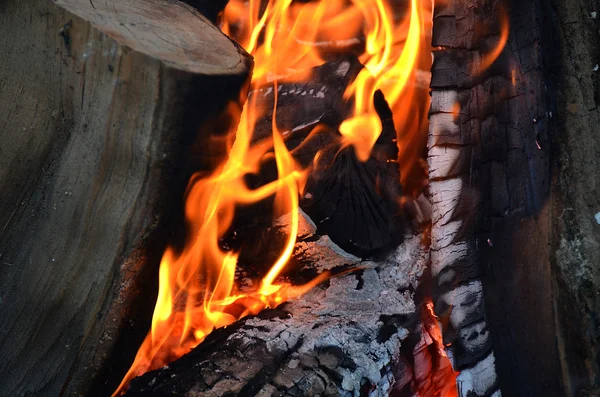 Nahaufnahme eines Lagerfeuers — Stockfoto