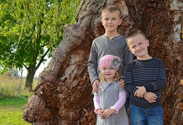 Lachende broers en zussen — Stockfoto