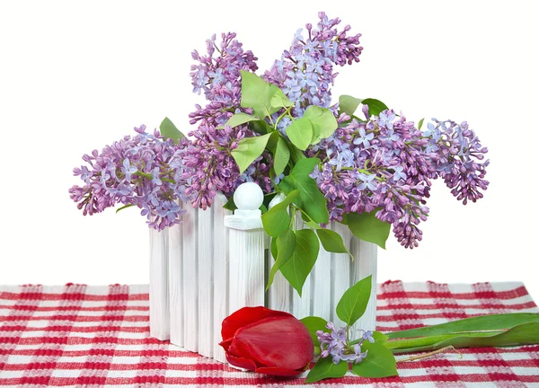 Lilac bouquet with tulip — Stock Photo, Image