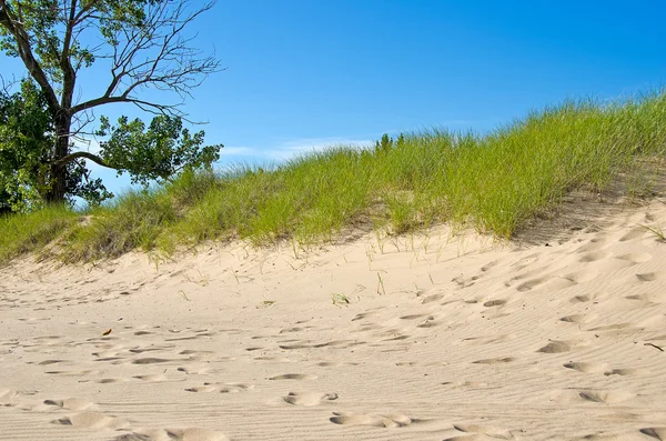 Michigan uitzichtpunt — Stockfoto