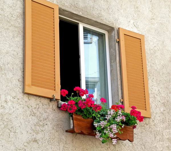 Geraniums in window box — Stock Photo, Image