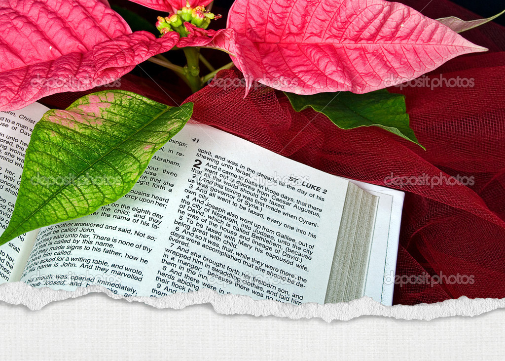 Christmas Bible with torn wedge border