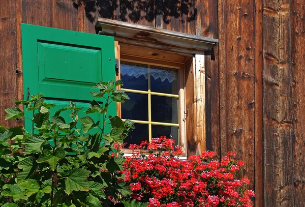 Kırmızı sardunyalar pencere kutusu — Stok fotoğraf