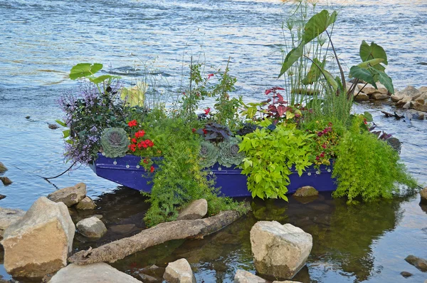 Plants in blue row boat — Stock Photo, Image