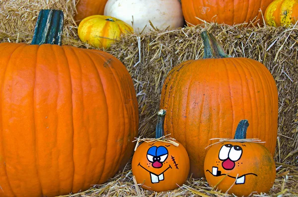 Cute faces on autumn pumpkins — Stock Photo, Image