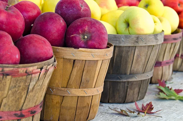 Manzanas de otoño en cestas —  Fotos de Stock