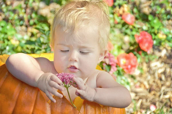 Baby girl in pumpkin — Stock Photo, Image