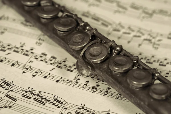 Стара флейта на ноті — стокове фото