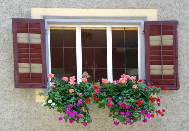 sardunyalar pencere kutusu