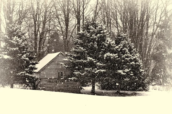 Oude hut in de winter — Stockfoto