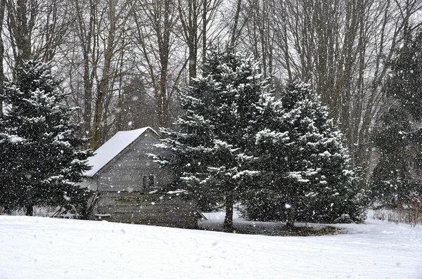 Vecchia cabina in inverno — Foto Stock