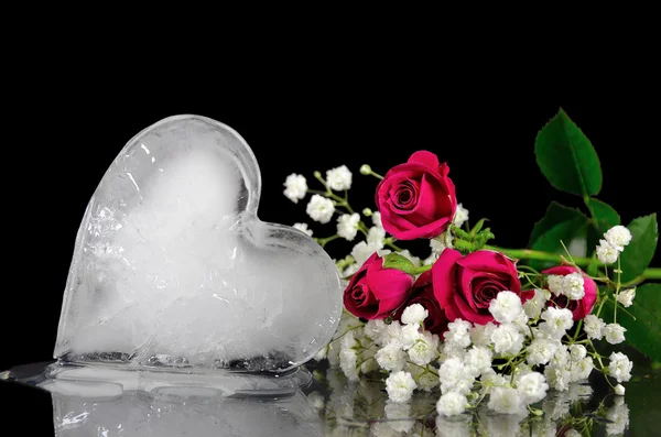 Derretir el corazón de hielo con rosas —  Fotos de Stock