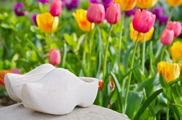 Wooden shoes with tulips — Stock Photo, Image