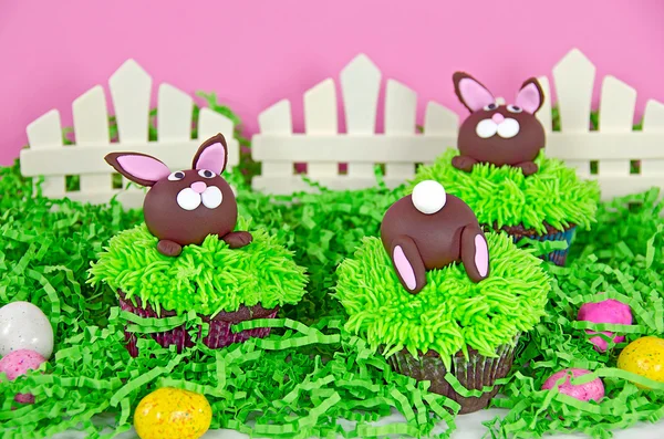 Cupcakes de conejo de Pascua — Foto de Stock