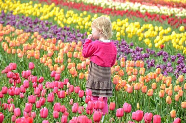 Девочка на тюльпановом поле — стоковое фото