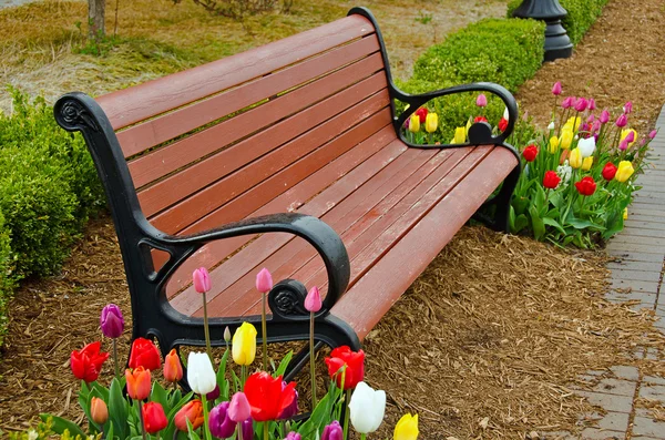 Park bench with tulips — Stock Photo, Image