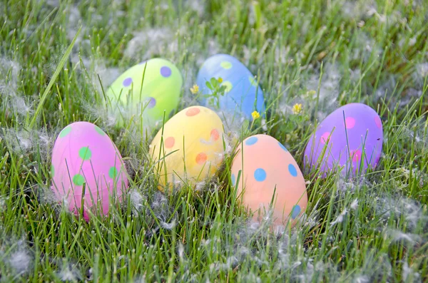 Oeufs de Pâques dans l'herbe — Photo