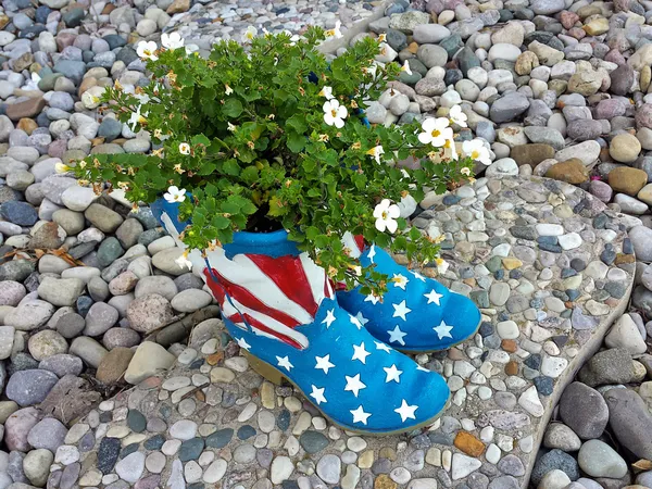 植物在国旗的靴子 — 图库照片