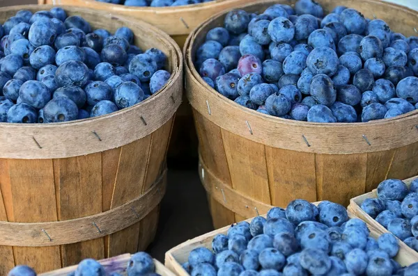 蓝莓在每蒲式耳的篮子里 — 图库照片