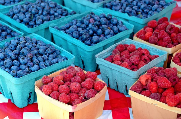 蓝莓和树莓 — 图库照片