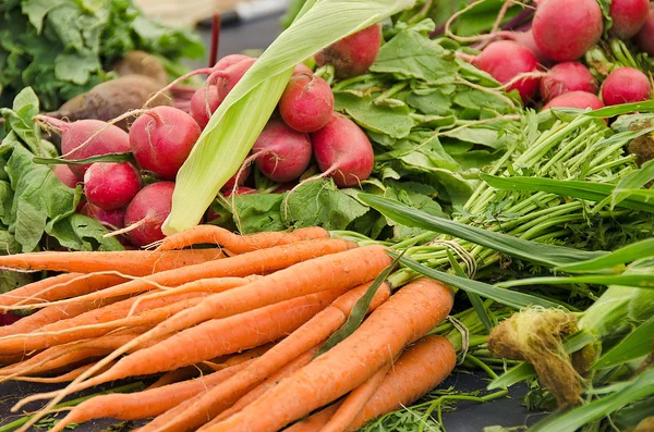 胡萝卜与萝卜在市场上 — 图库照片