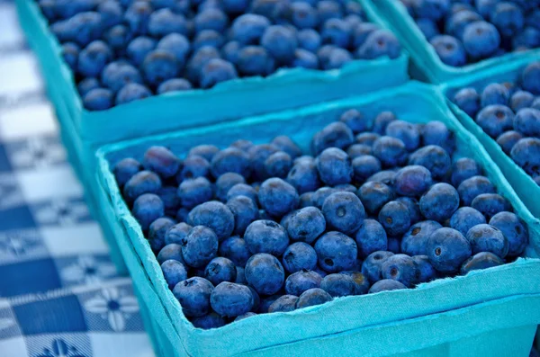 Blueberry matang dalam kotak — Stok Foto