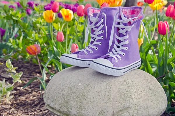 紫色运动鞋与郁金香 — 图库照片