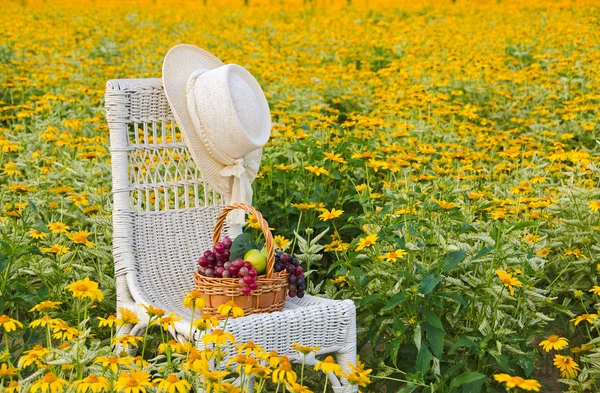 Fruit basket and hat on chair — Stock Photo, Image