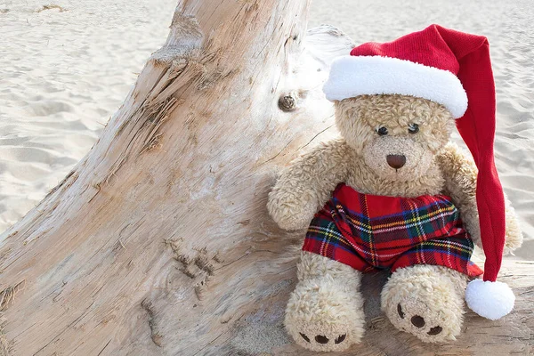 ブラウンテディベアとともにクリスマスストッキングキャップオン流木ログにザビーチ — ストック写真