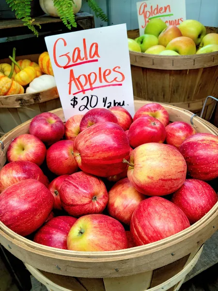 Michigan Rote Äpfel Scheffelkorb Auf Dem Bauernmarkt Mit Preisschild — Stockfoto