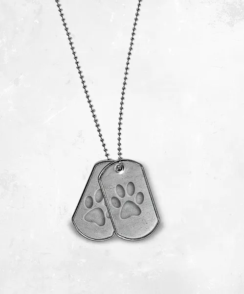 Military dog tags with dog paw print design isolated on soft white textured background