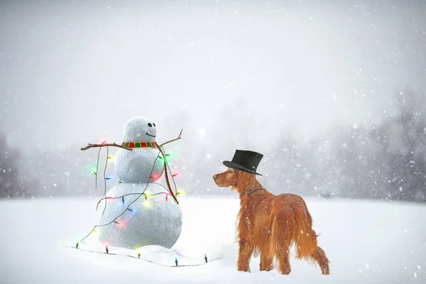 Irländsk Setter Hund Bär Snögubbe Svart Spade Hatt Snöflingor — Stockfoto