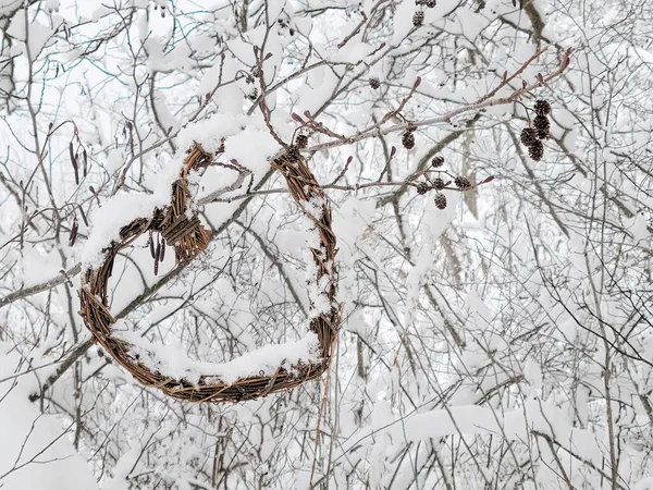 Grapevine Heart Hanging Tree Branch Covered Fresh Snow Winter Woods — Foto Stock