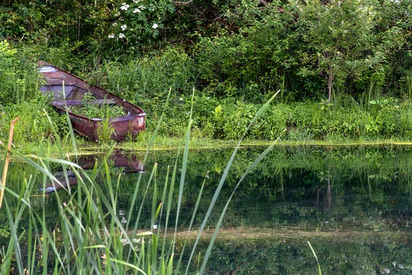 Ржавая Лодка Зеленом Пруду Сорняки Краю Воды — стоковое фото