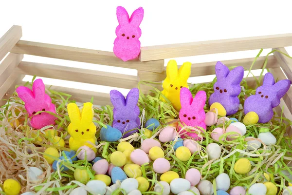 Wielkanocne Cukierki Drewnianym Ogrodzeniu Trawie Pastelowymi Jajkami — Zdjęcie stockowe