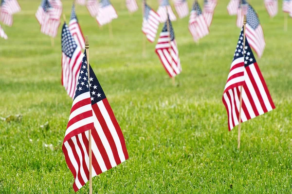 Закрыть Маленькие Американские Флаги Зеленой Траве — стоковое фото