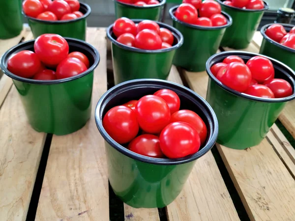 Bright Red Cherry Tomatoes Green Containers Market — Stock Photo, Image